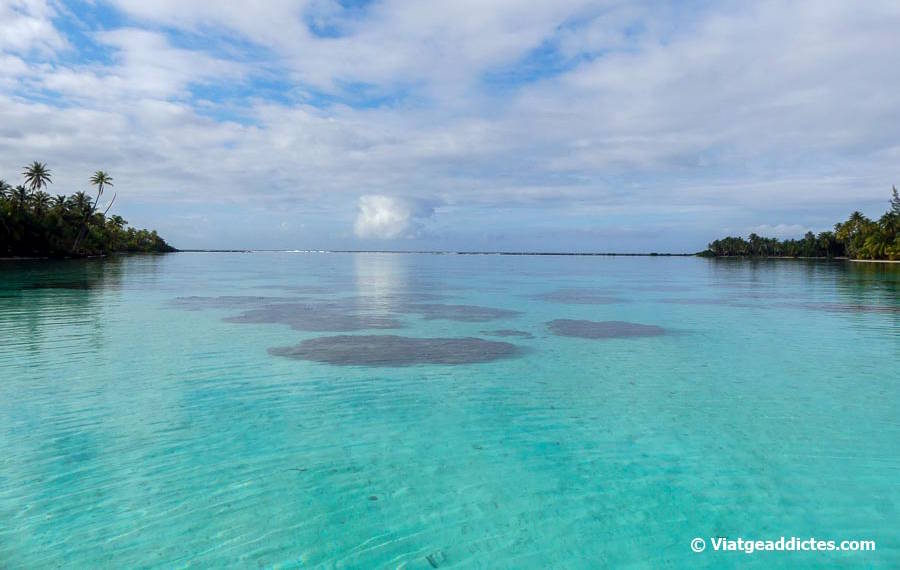 En el «jardí de corall» prop del motu Ninas (Taha'a, illes de la Societat)