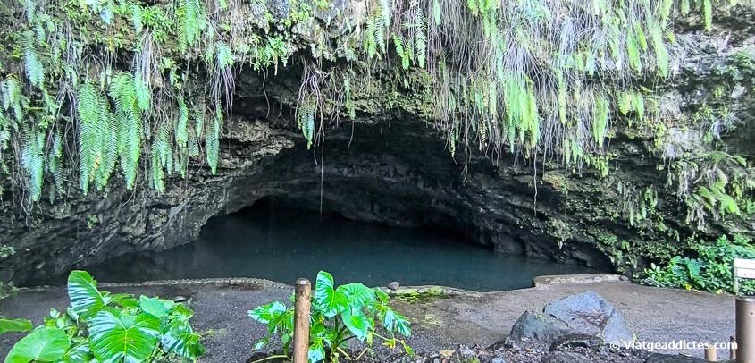 La gruta de Mara'a (Paea, Tahiti Nui, illes de la Societat)