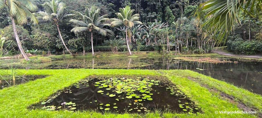 Els jardins aquàtics de Vaipahi (Teva i  Uta, Tahiti Nui, illes de la Societat)