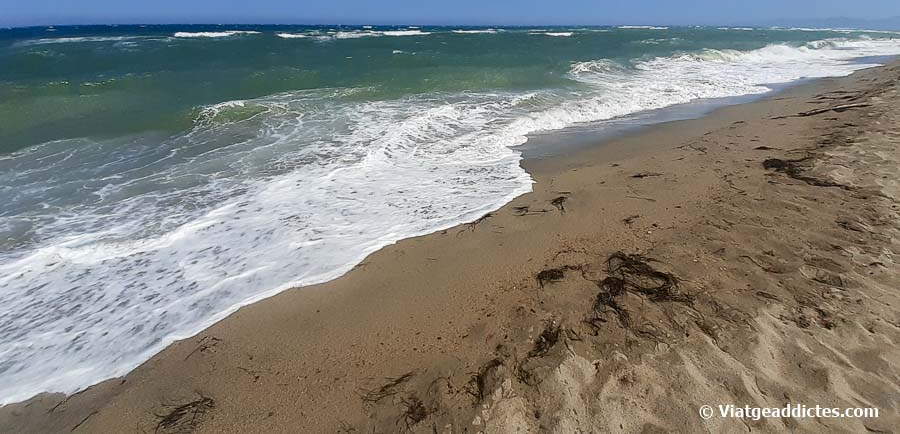 La platja de Bourdigou en un dia de fort vent (Torreilles Plage)