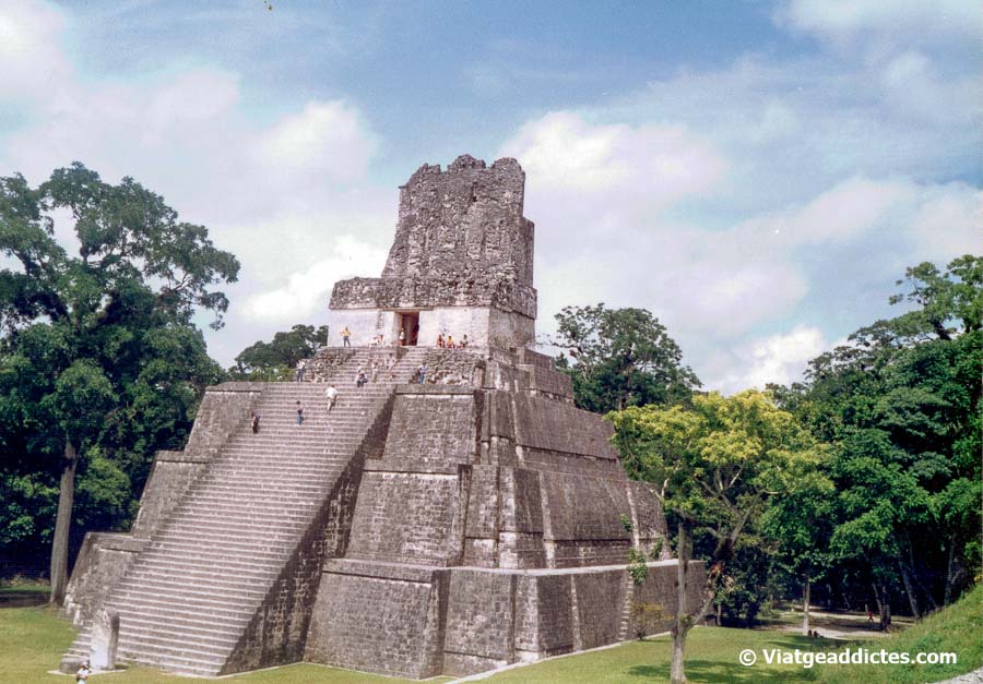 Gran Jaguar temple in Tikal's archeological site (Peten, Guatemala)