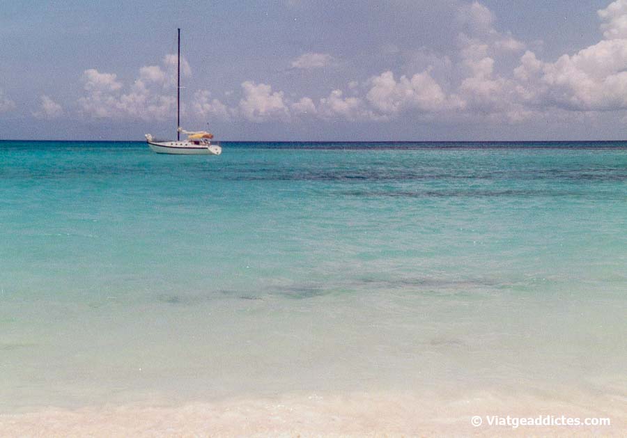 Platja caribenya de sorra blanca i aigües turqueses (Playa del Carmen, Mèxic)