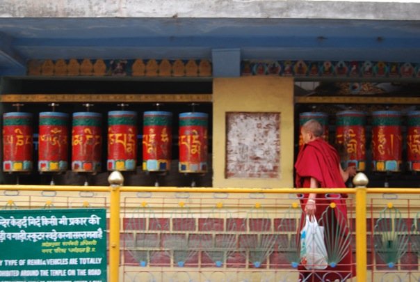 Monjo resant a Dharamsala