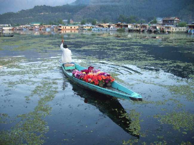 Lago Dal (Srinagar)