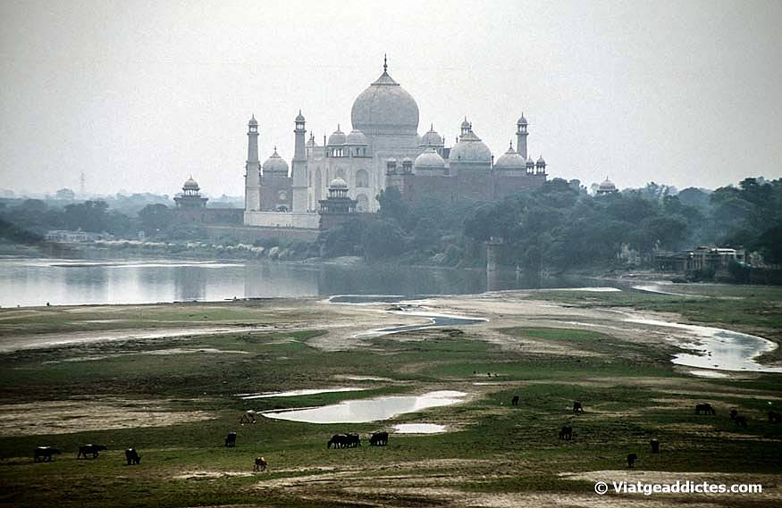Vista del Taj Mahal en la neblina desde el fuerte de Agra