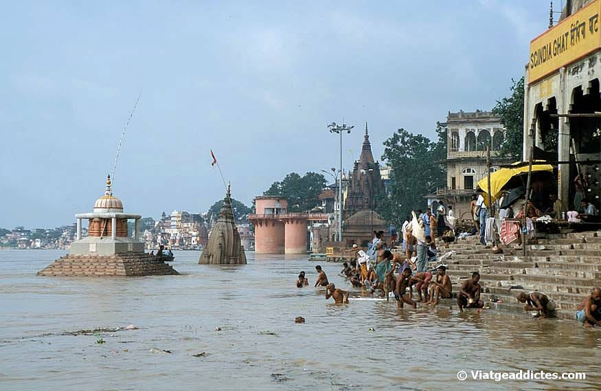 Banys rituals en el ghat Scindia