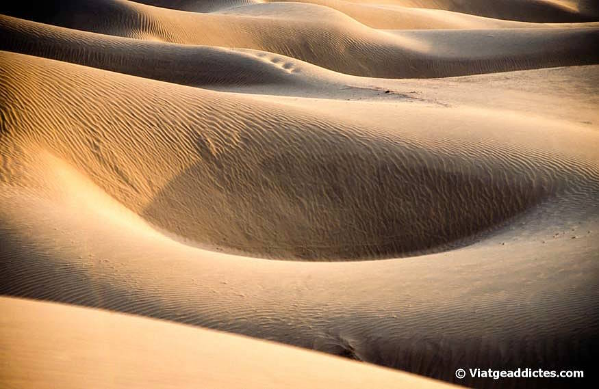 Joc d'ombres en les dunes Sam Sand