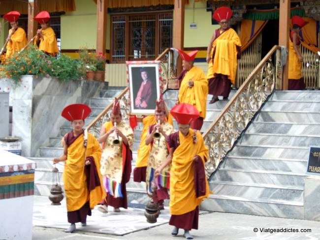 Ceremonia del Festival de Ladakh (Leh)