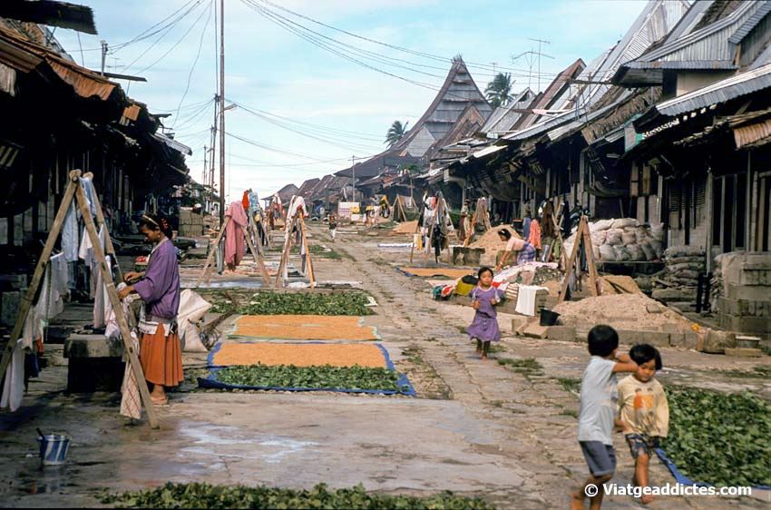 Vida en la calle de Bawomataluo (islas Nias, Sumatra)