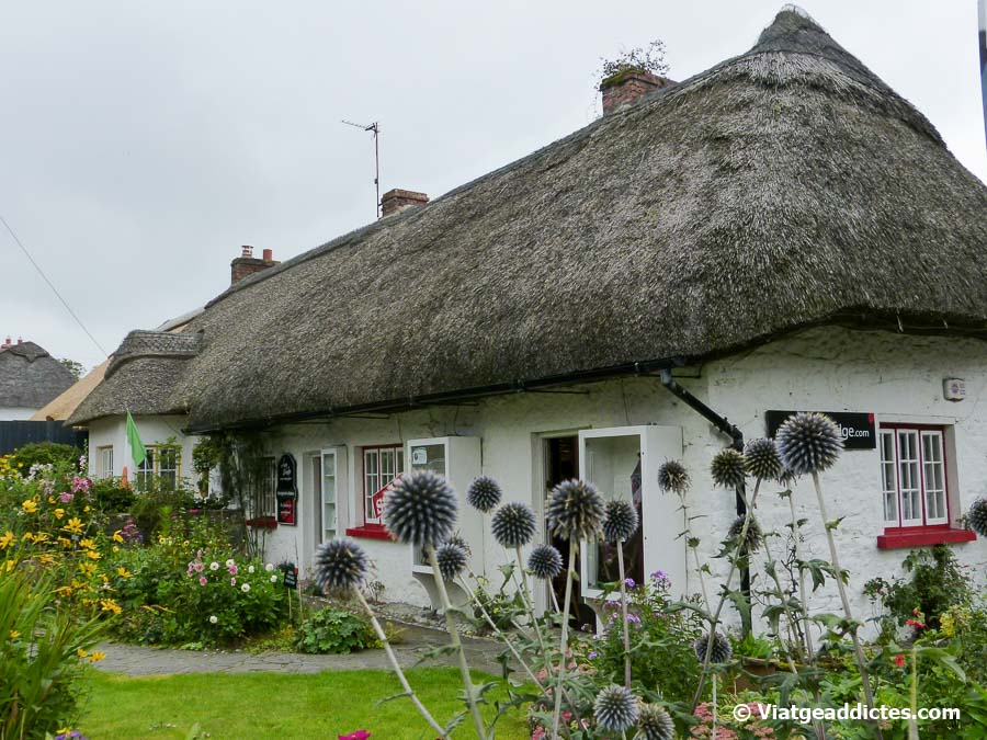 Casas tradicionales irlandesas en Adare