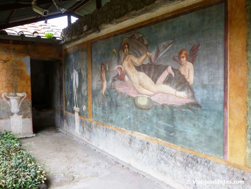 Mural de la Venus sobre la Concha (Pompeya)