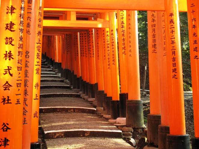 Toriis del Fushimi Inari Taisha