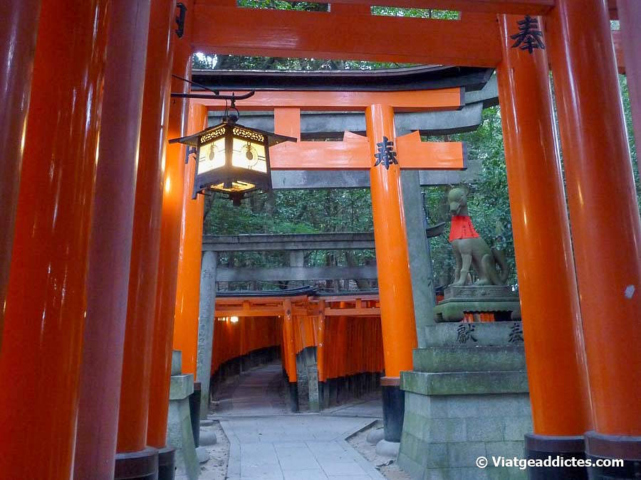 Uno de los bellos rincones del santuario Fushimi Inari-Taisha (Inari, Honshū)
