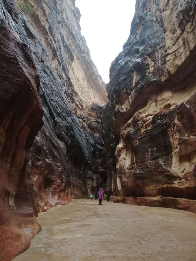 Imatge del Siq o corredor d'entrada a Petra