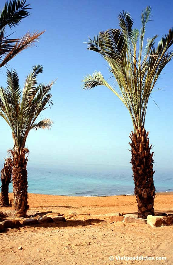 Imagen de la llamada Amman Beach en el Mar Muerto