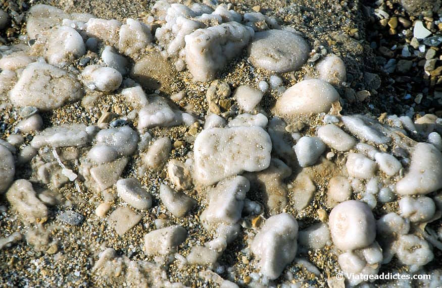 Formes salines en la vora del Mar Mort