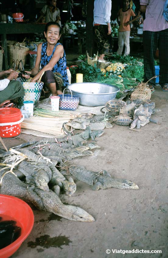 Llagardaixos vius a la venda en el mercat de Saravan (Laos)