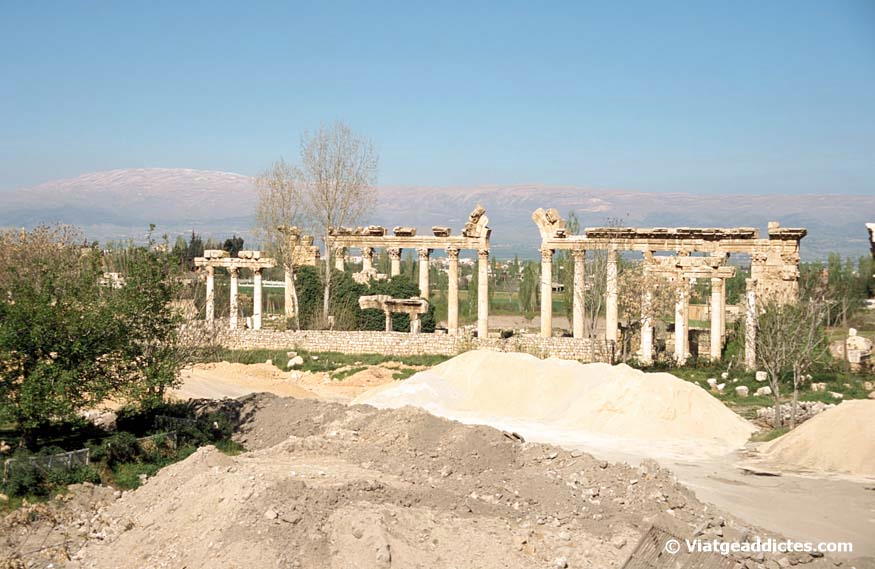 Restos del templo de Venus (Baalbek)