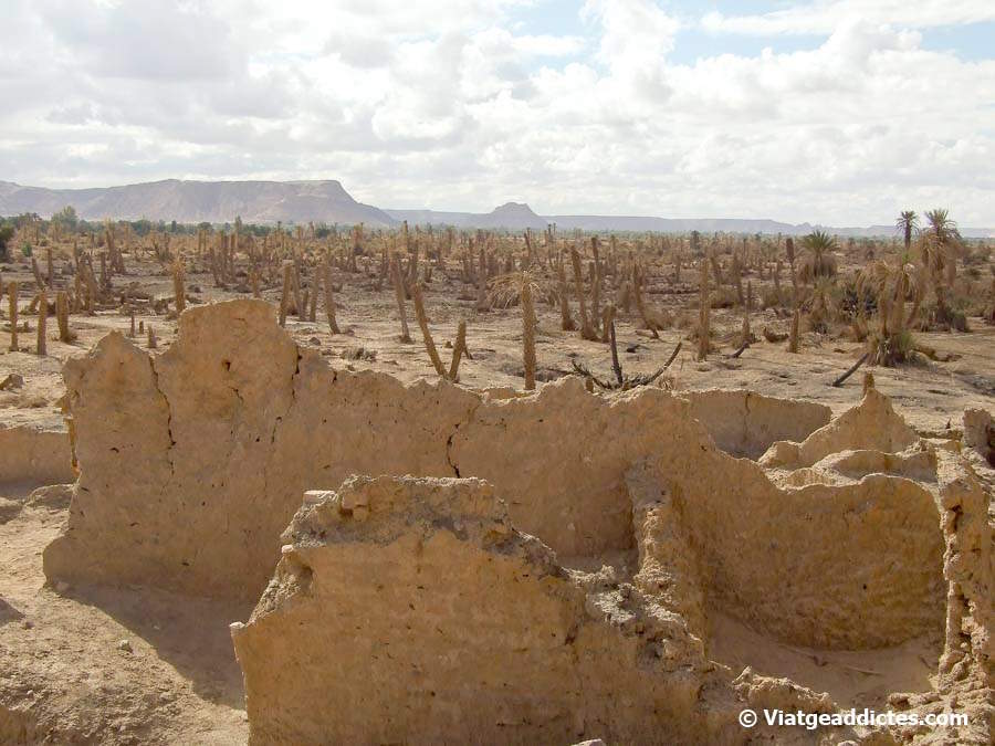 Ruinas de la antigua ciudad de Garama, la capital de los Garamantes (Germa)