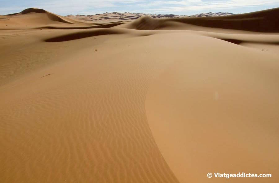En la inmensitat del mar de dunes de sorra de Wan Caza (Tadrart Acacus)