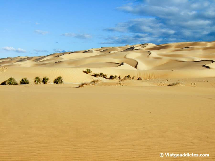 Mar de dunas de camino a los lagos de Ubari 