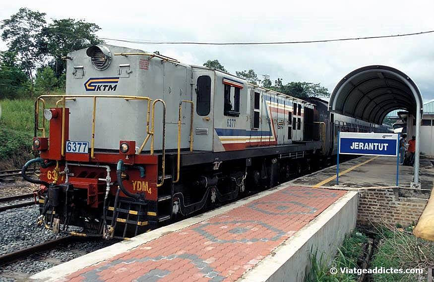 Imagen del Jungle Train en la estación de Jerantut