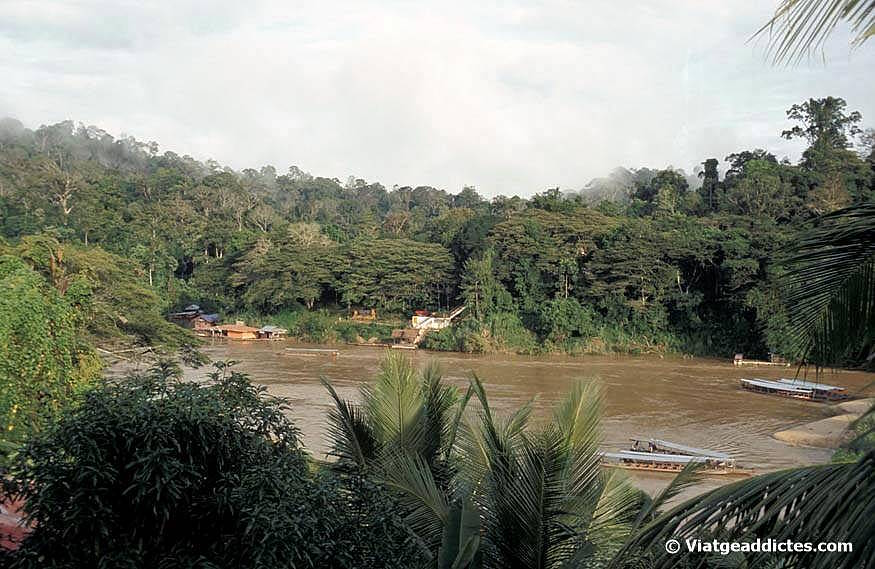 El río Tembeling y el parque Taman Negara (Kuala Tahan)
