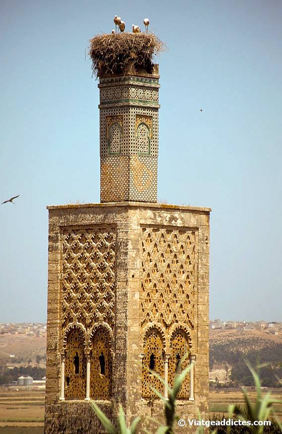 Minaret de la mesquita de Chellah (Rabat)