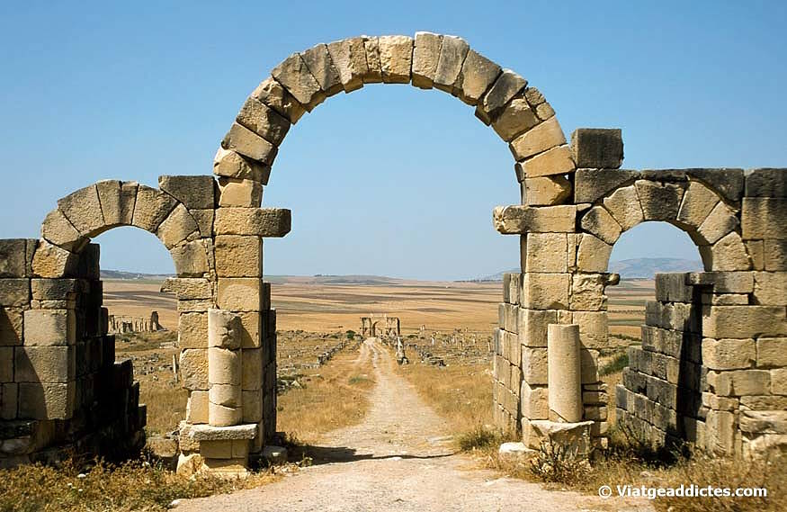 La Porta de Tingis i el Decumanus Maximus (Volubilis)