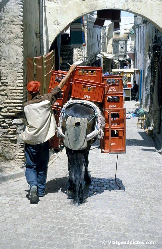 Transporte de mercancías por los callejones de la medina de Fez 