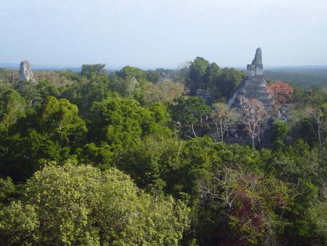 Vista del Temple V (Tikal)