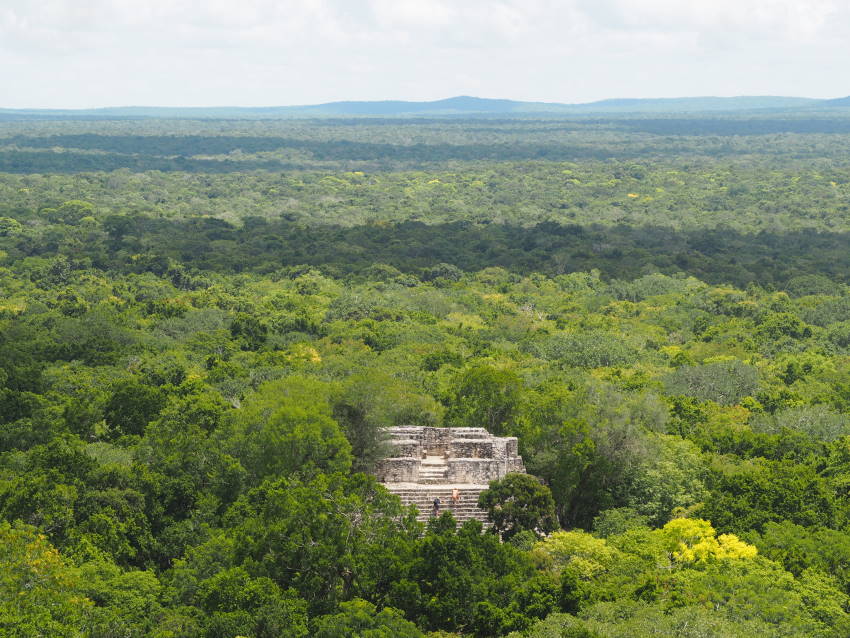 Zona arqueològica de Calakmul