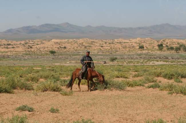 Cavall i genet en un paisatge de dunes