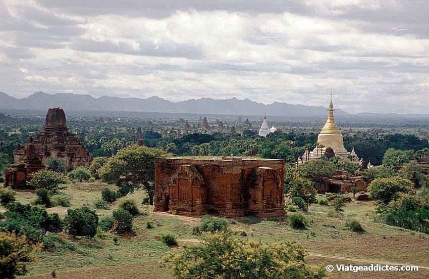 Temples de l'antiga ciutat de Bagan