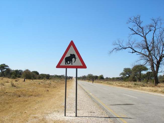 Senyal d'elefants a la carretera a Caprivi
