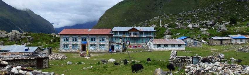 Kyanjin Gumba, el darrer poble de la vall (a 3.800 metres d'altitud)