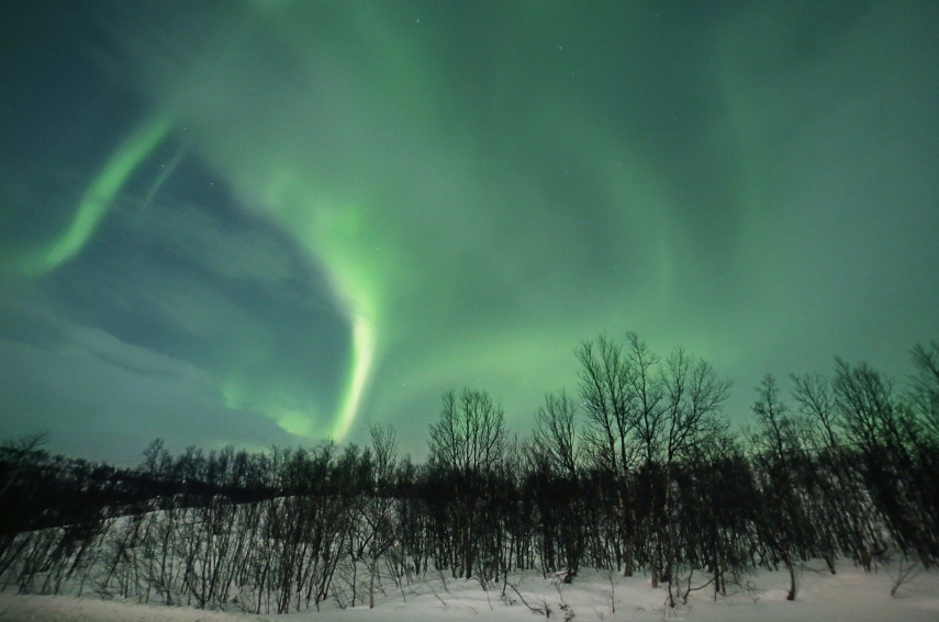 Otra imagen de las auroras boreales