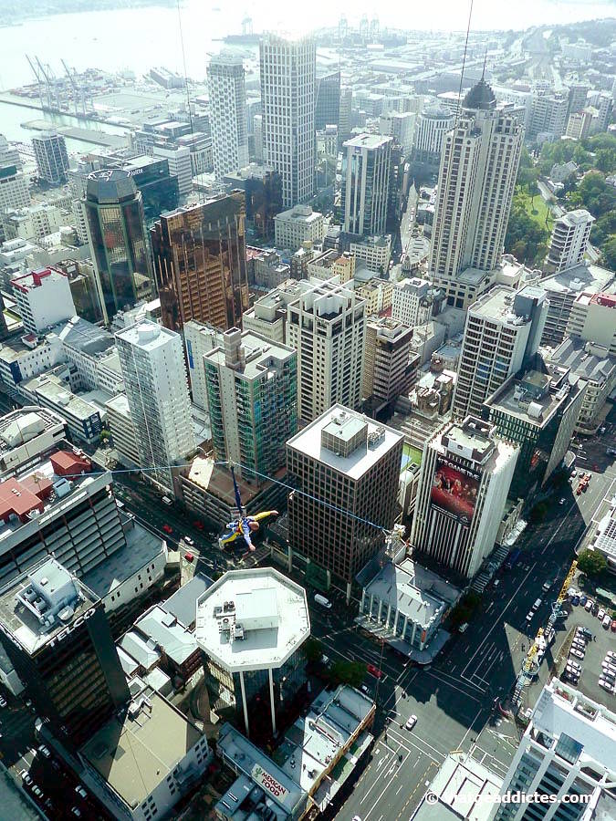 Una persona «valenta» fent salt base amb cable<br />des de l'Sky Tower (Auckland, illa Nord de Nova Zelanda) Una persona «valenta» fent salt base amb cable<br />des de l'Sky Tower (Auckland, illa Nord de Nova Zelanda)