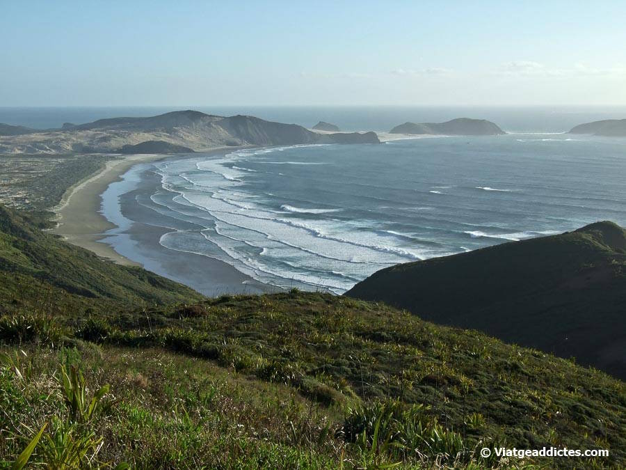 Vista sobre la platja Cape Maria Van Diemen (Cape Reinga, illa Nord de Nova Zelanda) Vista sobre la platja Cape Maria Van Diemen (Cape Reinga, illa Nord de Nova Zelanda)