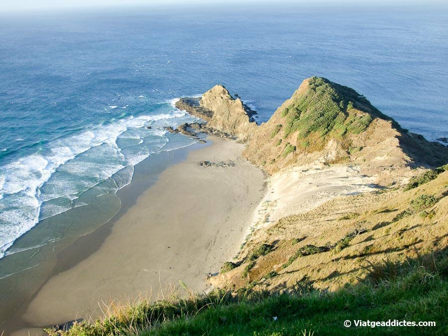 Vista de Kapa Wairua, la badia dels Esperits, i l'arbre Te Aroha sobre la roca (Cape Reinga, illa Nord de Nova Zelanda) Vista de Kapa Wairua, la badia dels Esperits, i l'arbre Te Aroha sobre la roca (Cape Reinga, illa Nord de Nova Zelanda)
