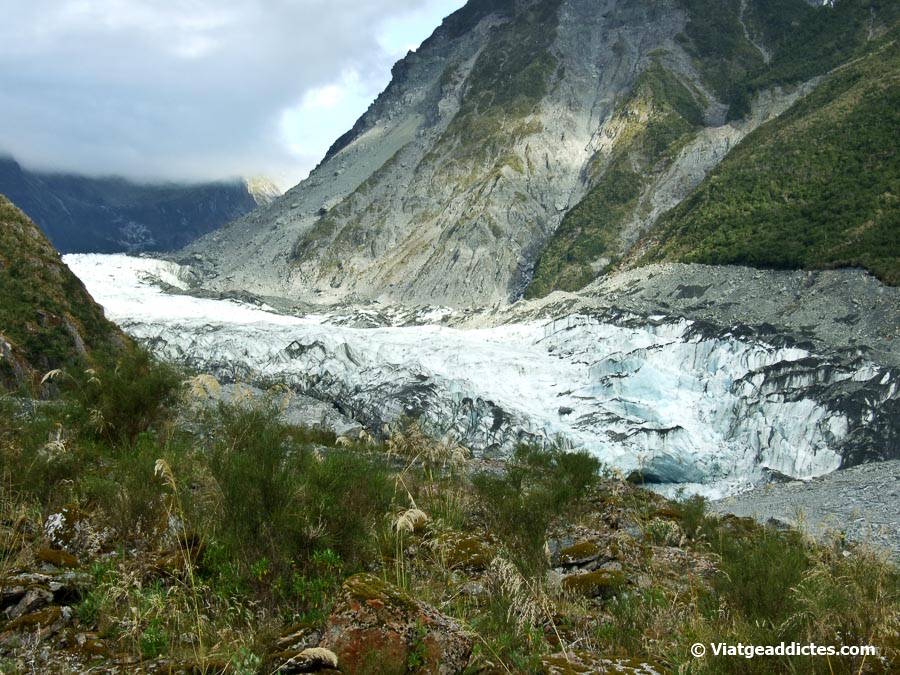 Vista de la glacera Fox (Fox Glacier, illa Sud de Nova Zelanda) Vista de la glacera Fox (Fox Glacier, illa Sud de Nova Zelanda)