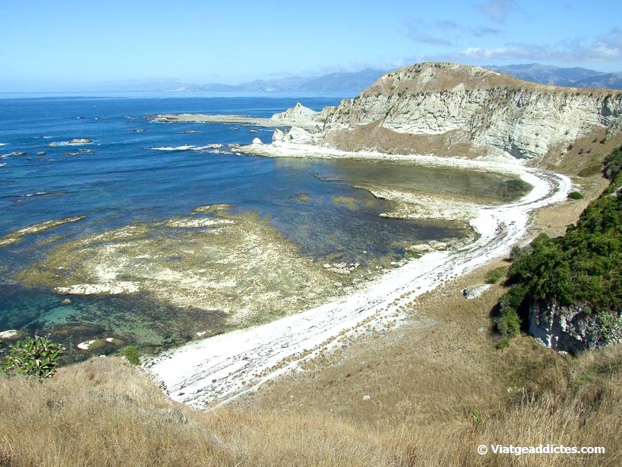Costa de la península de Kaikōura (Kaikōura, illa Sud de Nova Zelanda) Costa de la península de Kaikōura (Kaikōura, illa Sud de Nova Zelanda)