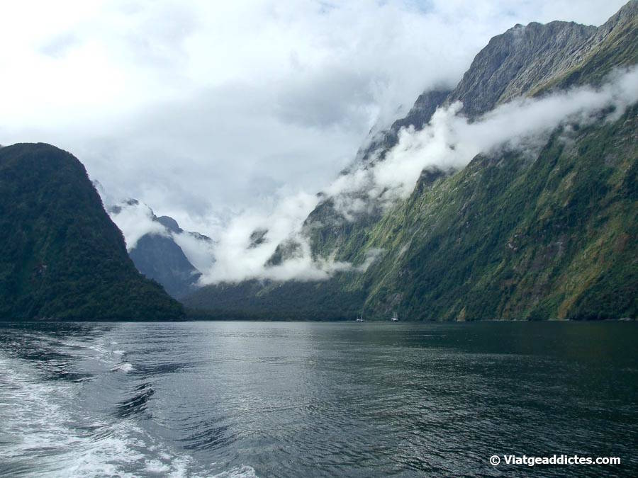 Una altra vista d'aquest magnífic fiord (Milford Sound, illa Sud de Nova Zelanda) Una altra vista d'aquest magnífic fiord (Milford Sound, illa Sud de Nova Zelanda)