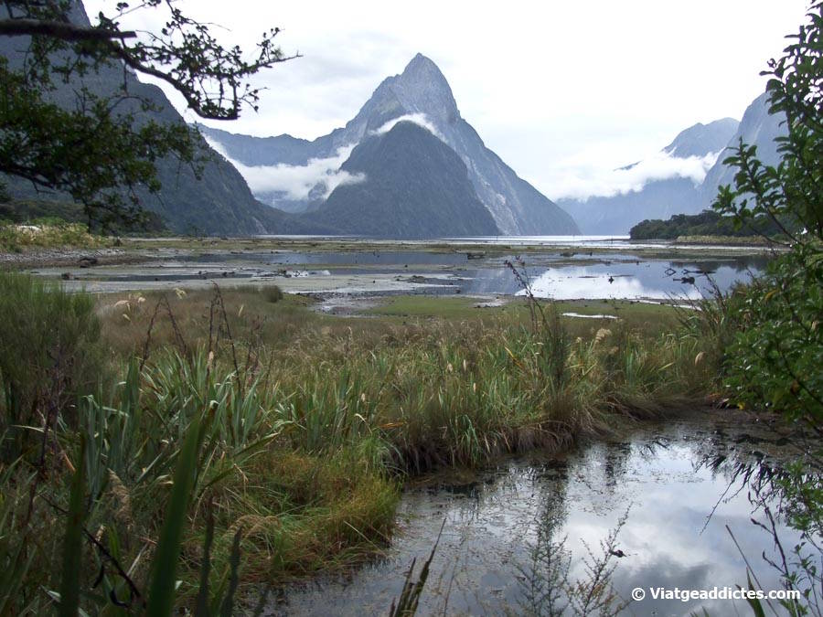 Vista de comiat de Milford Sound des de terra (Milford Sound, illa Sud de Nova Zelanda) Vista de comiat de Milford Sound des de terra (Milford Sound, illa Sud de Nova Zelanda)