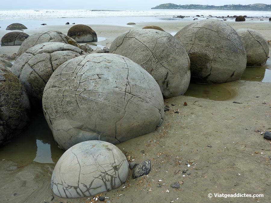 Les curioses roques esfèriques Moeraki Boulders (platja de Koekohe, illa Sud de Nova Zelanda) Les curioses roques esfèriques Moeraki Boulders (platja de Koekohe, illa Sud de Nova Zelanda)
