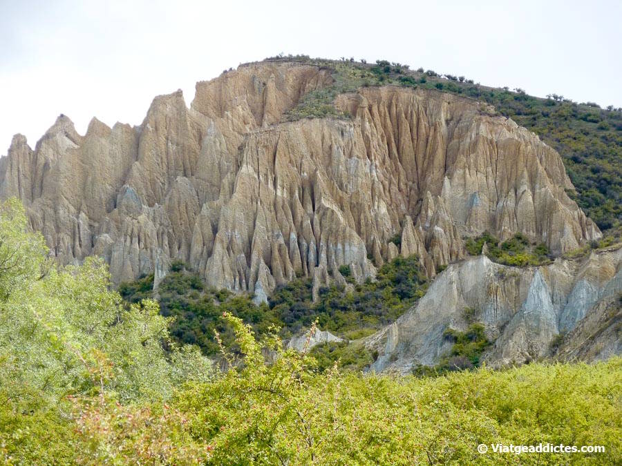 Clay Cliffs, els penya-segats d'argila (Omarama, illa Sud de Nova Zelanda) Clay Cliffs, els penya-segats d'argila (Omarama, illa Sud de Nova Zelanda)
