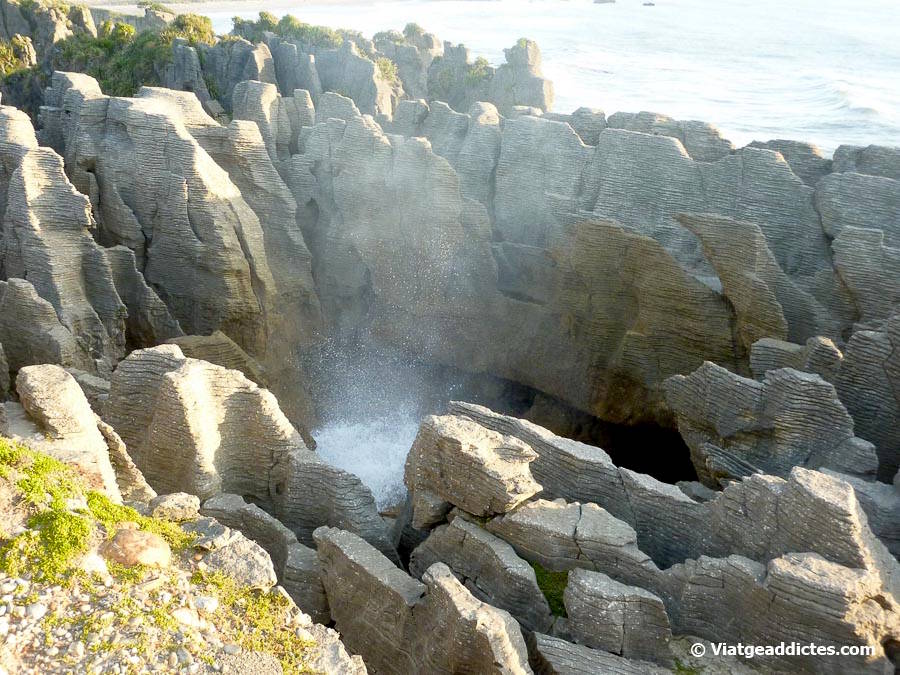 Bufador enmig de les roques de Pancake Rocks (Punakaiki, illa Sud de Nova Zelanda) Bufador enmig de les roques de Pancake Rocks (Punakaiki, illa Sud de Nova Zelanda)