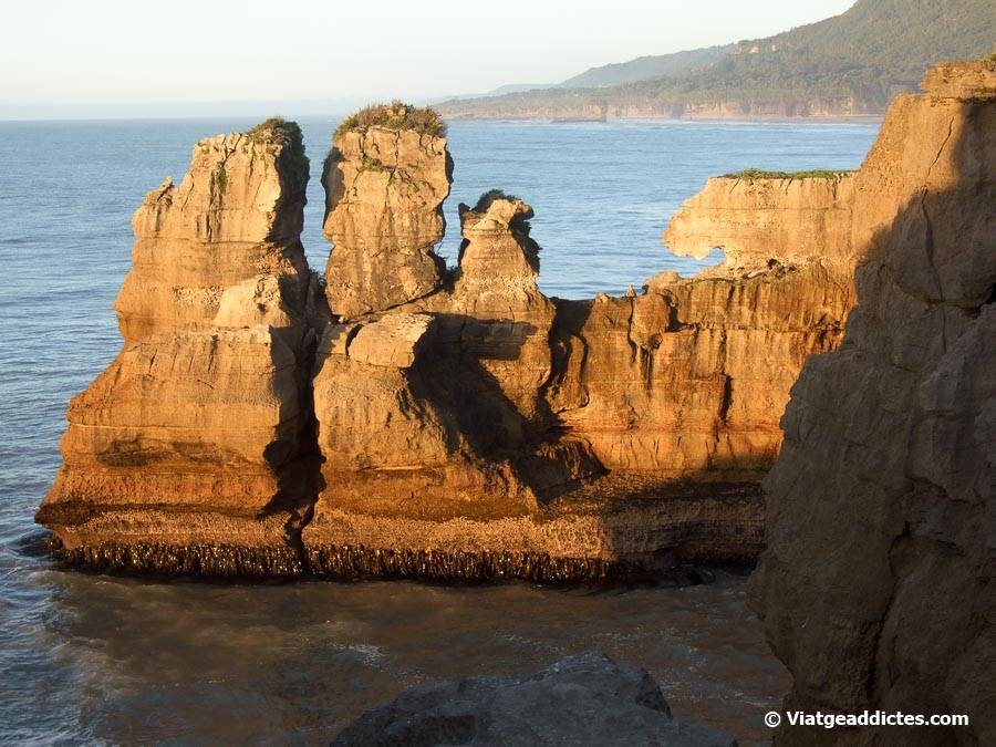Darrer sol de la tarda sobre les roques de Pancake Rocks (Punakaiki, illa Sud de Nova Zelanda) Darrer sol de la tarda sobre les roques de Pancake Rocks (Punakaiki, illa Sud de Nova Zelanda)