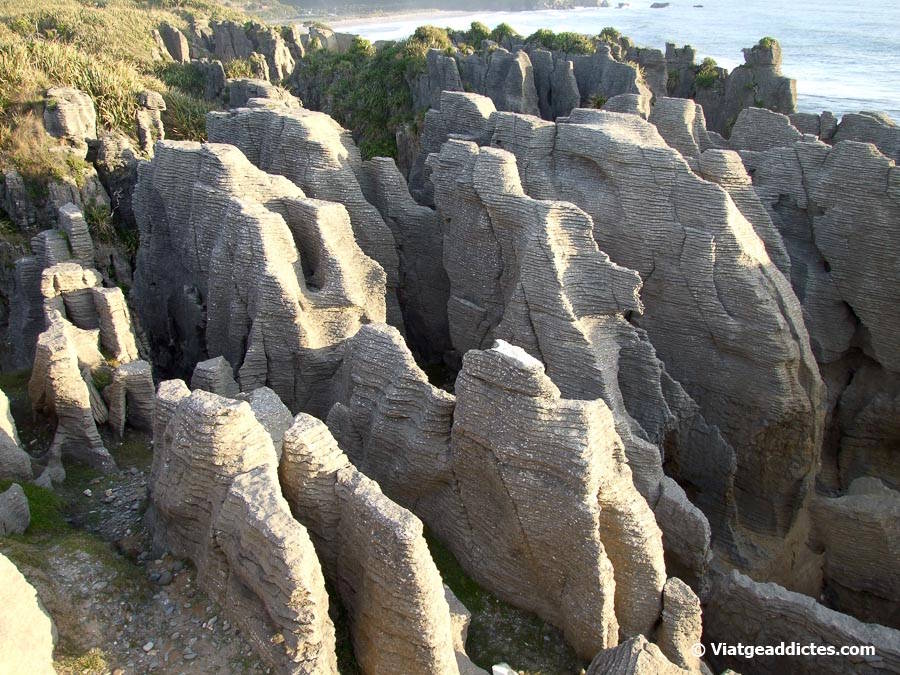 L'efecte de l'erosió sobre les roques calcàries de Pancake Rocks (Punakaiki, illa Sud de Nova Zelanda) L'efecte de l'erosió sobre les roques calcàries de Pancake Rocks (Punakaiki, illa Sud de Nova Zelanda)