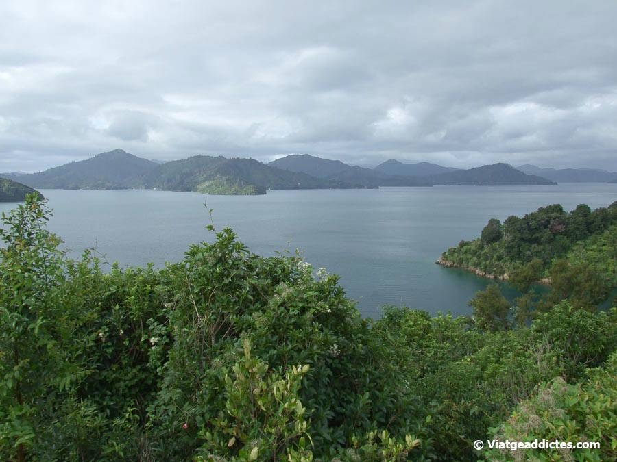 Vista sobre el fiord Queen Charlotte Sound (Queen Charlotte Drive, illa Sud de Nova Zelanda) Vista sobre el fiord Queen Charlotte Sound (Queen Charlotte Drive, illa Sud de Nova Zelanda)
